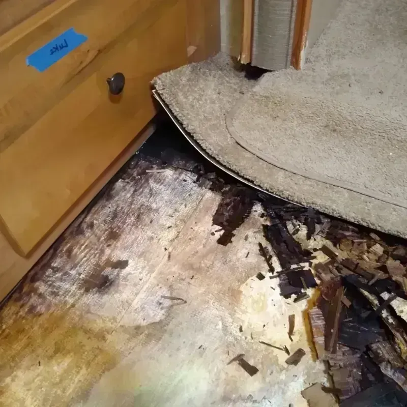 Wood Floor Water Damage in East Liverpool, OH